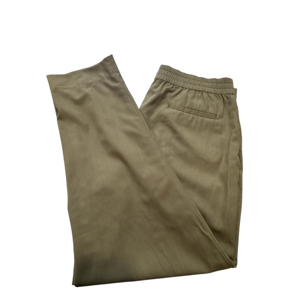 Everlane Italian GoWeave Easy Pant 100% Wool Pull On Ankle Green Size 4 Travel
